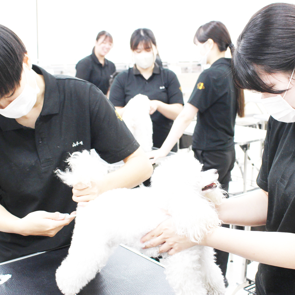 動物看護実習☆